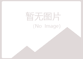 绵阳山柏电讯有限公司